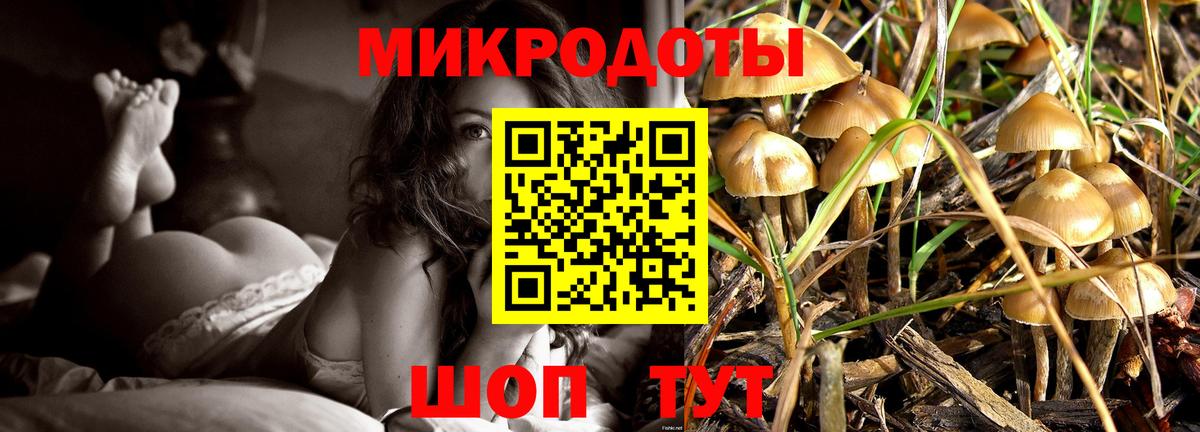 Галлюциногенные грибы мицелий Полевской