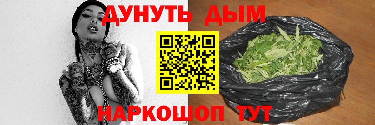 Конопля сатива Полевской